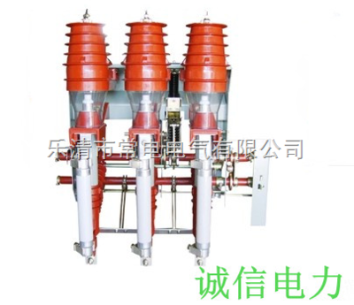 FN12-12D/630-20-D高橋戶內(nèi)高壓負(fù)荷開(kāi)關(guān)-樂(lè)清市常電電氣
