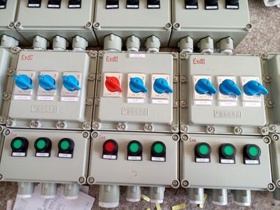 BXK8060-BXK8060防腐防爆控制箱,BKX8060防腐防爆控制箱-樂(lè)清市浙創(chuàng)防爆電氣